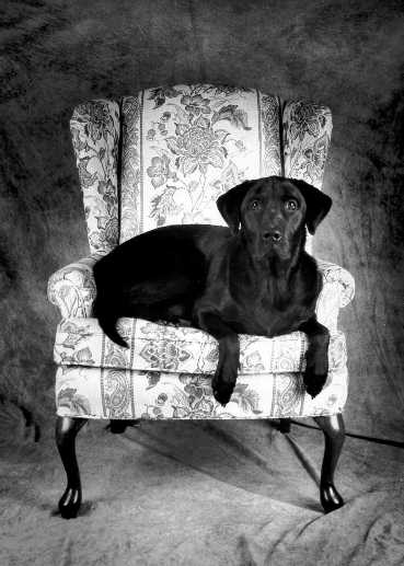 JimPictCometChairLieDown.jpg (26867 bytes)