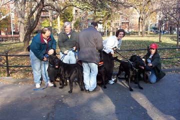 PuppyReunion4.jpg (57654 bytes)