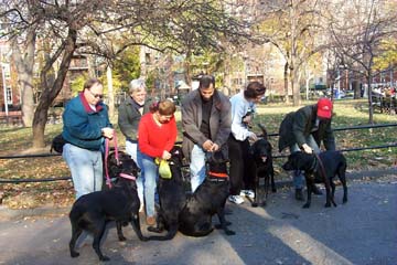 PuppyReunion5.jpg (61131 bytes)