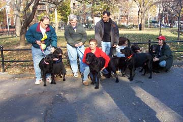 PuppyReunion6.jpg (57251 bytes)