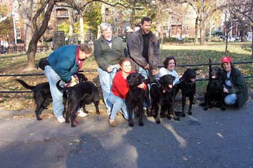 PuppyReunion7.jpg (57867 bytes)