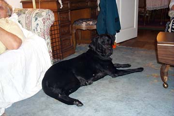 casey2.jpg (47780 bytes)