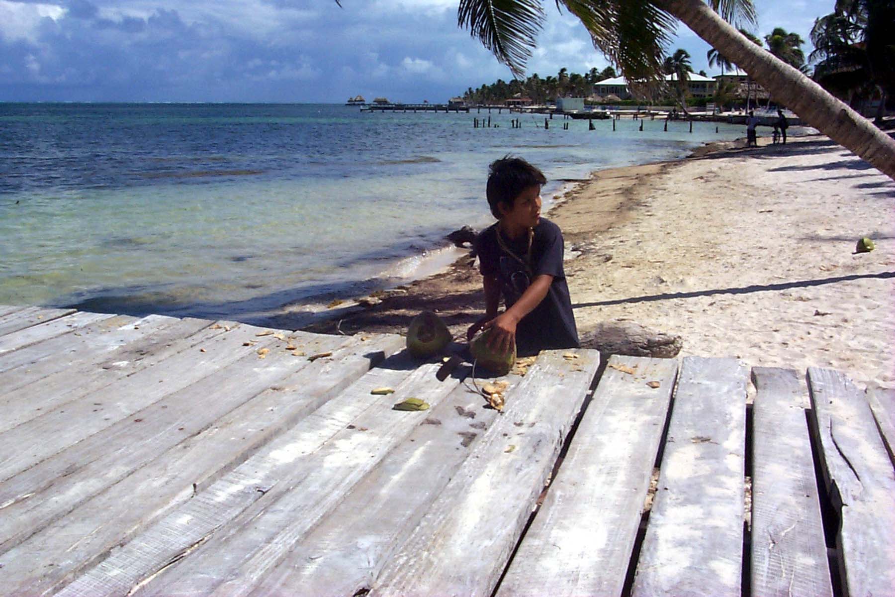 B99_Coconut1.JPG (1678059 bytes)
