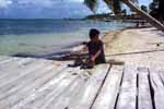 B99_Coconut1_small.JPG (8020 bytes)