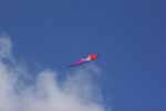 B99_Kite1_small.JPG (2818 bytes)