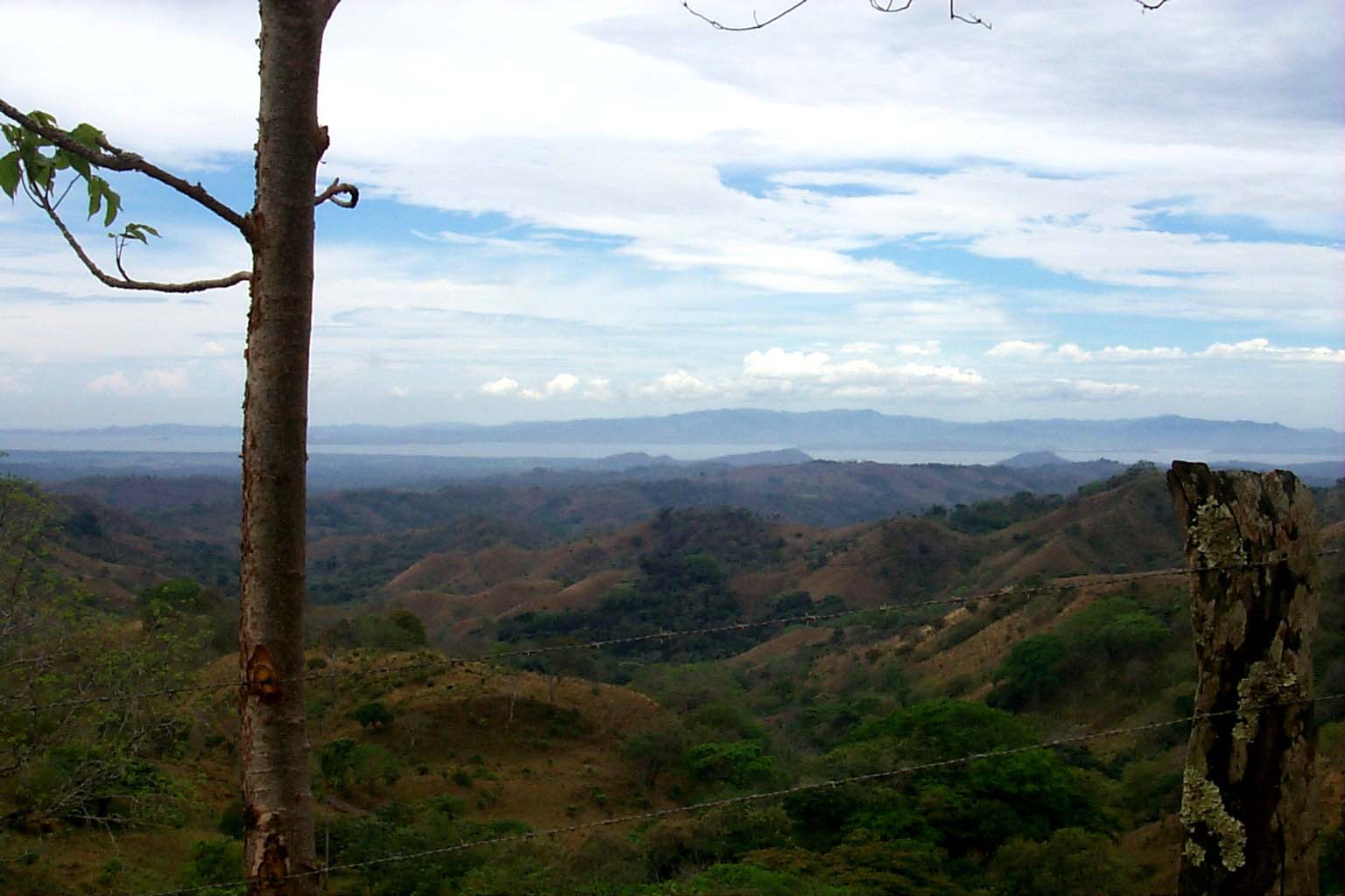 CR99_RainForest06.jpg (109015 bytes)