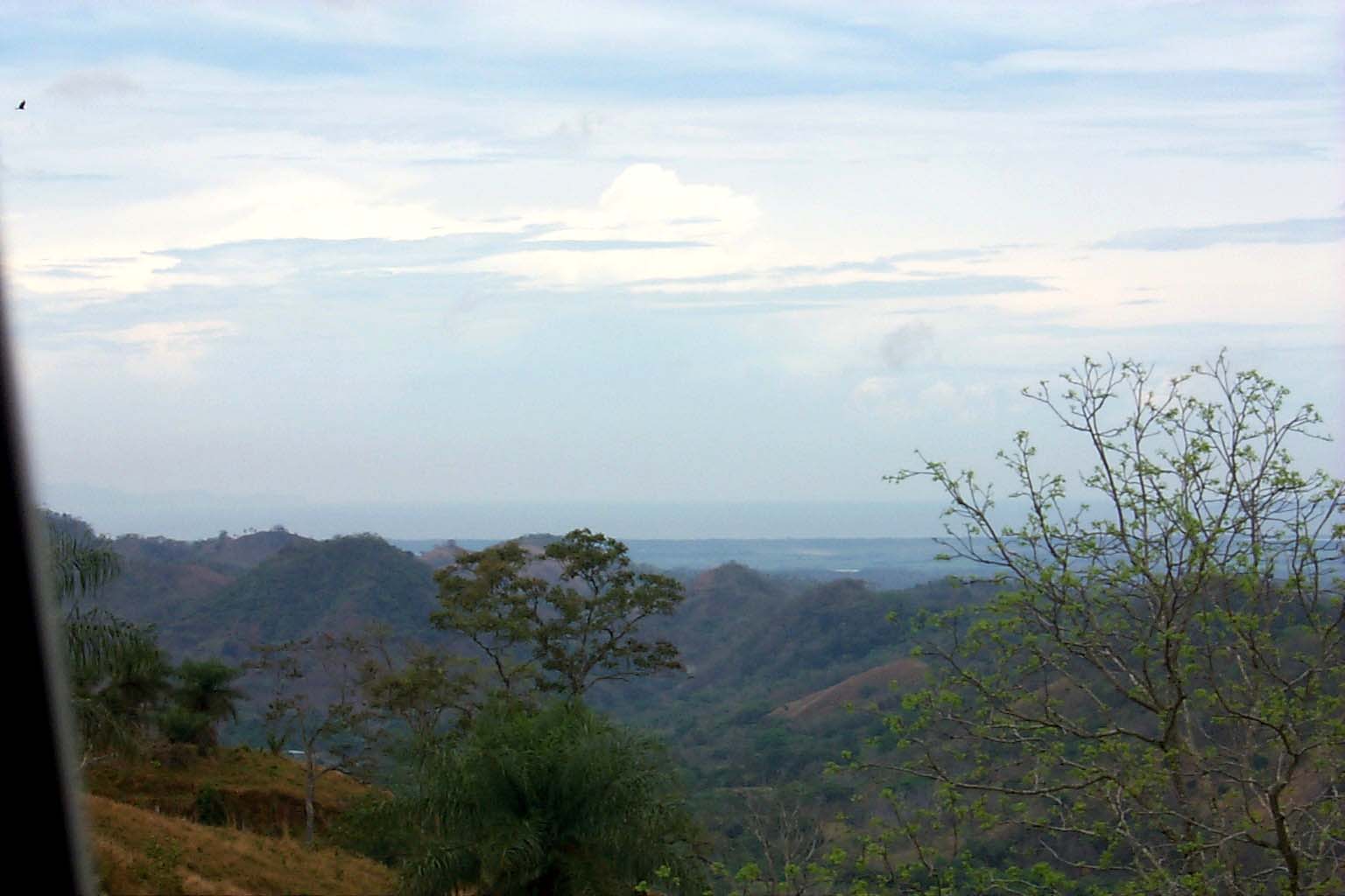 CR99_RainForest07.jpg (97605 bytes)