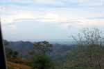 CR99_RainForest07_s.jpg (4687 bytes)