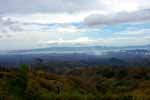 CR99_RainForest08_s.jpg (5206 bytes)