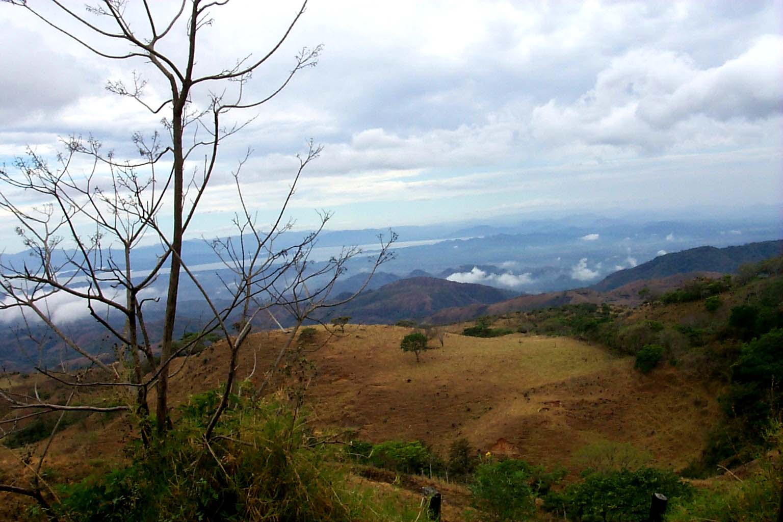 CR99_RainForest09.jpg (145881 bytes)