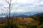 CR99_RainForest09_s.jpg (6644 bytes)