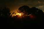 CR99_RainForestSunset1_s.jpg (3984 bytes)