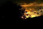 CR99_RainForestSunset3_s.jpg (4633 bytes)