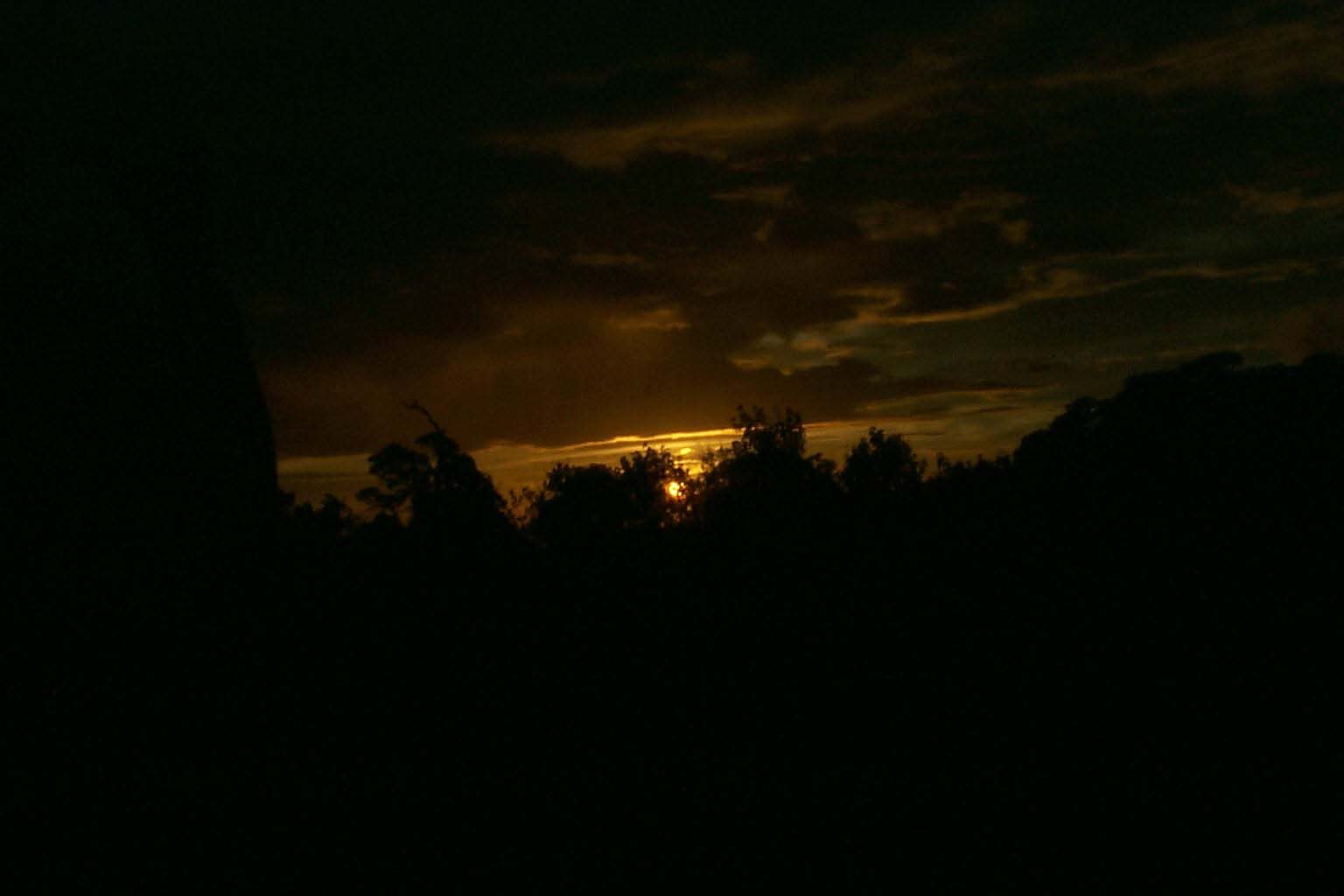 CR99_RainForestSunset4.jpg (46059 bytes)