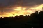CR99_RainForestSunset7_s.jpg (4748 bytes)