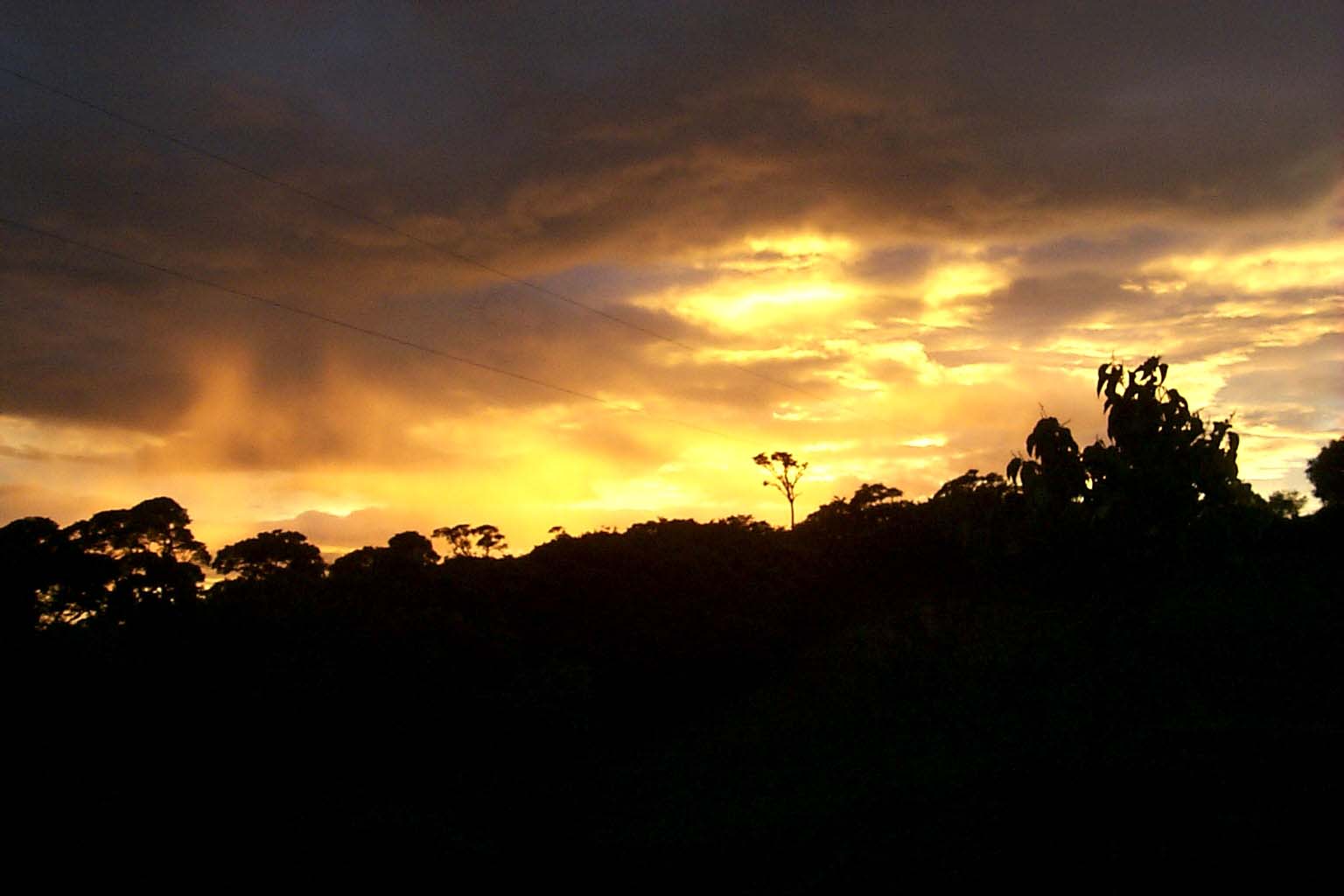CR99_RainForestSunset8.jpg (72169 bytes)
