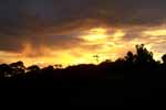CR99_RainForestSunset8_s.jpg (4772 bytes)