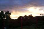 CR99_RainForestSunset9_s.jpg (5179 bytes)