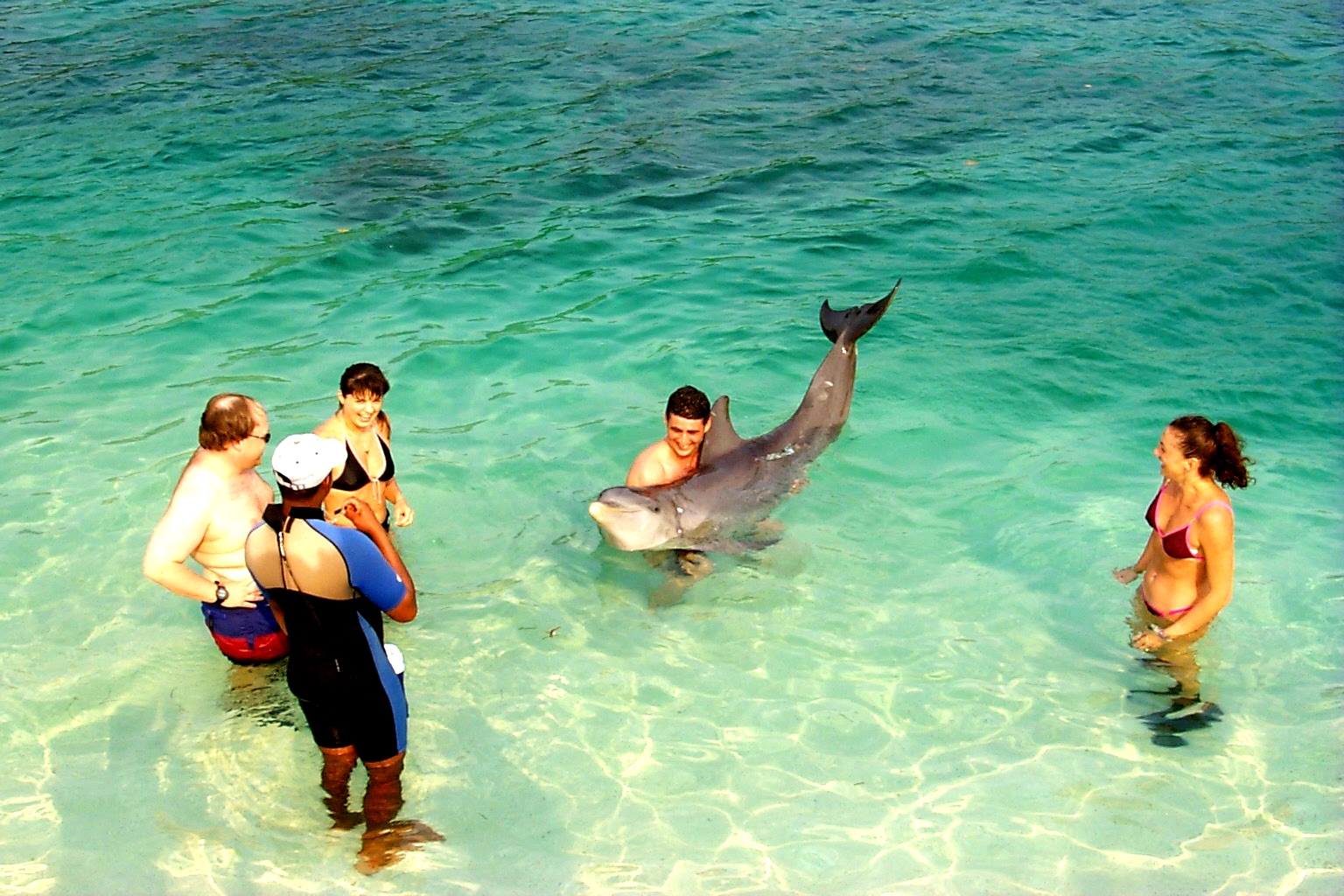 GregDolphinHug.jpg (1103022 bytes)