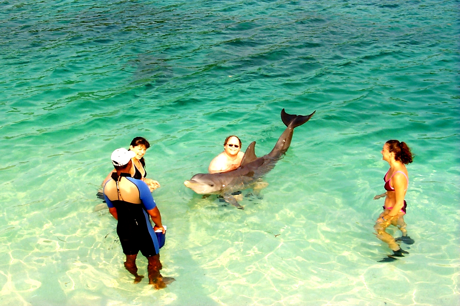 SteveDolphinHug.jpg (1129478 bytes)