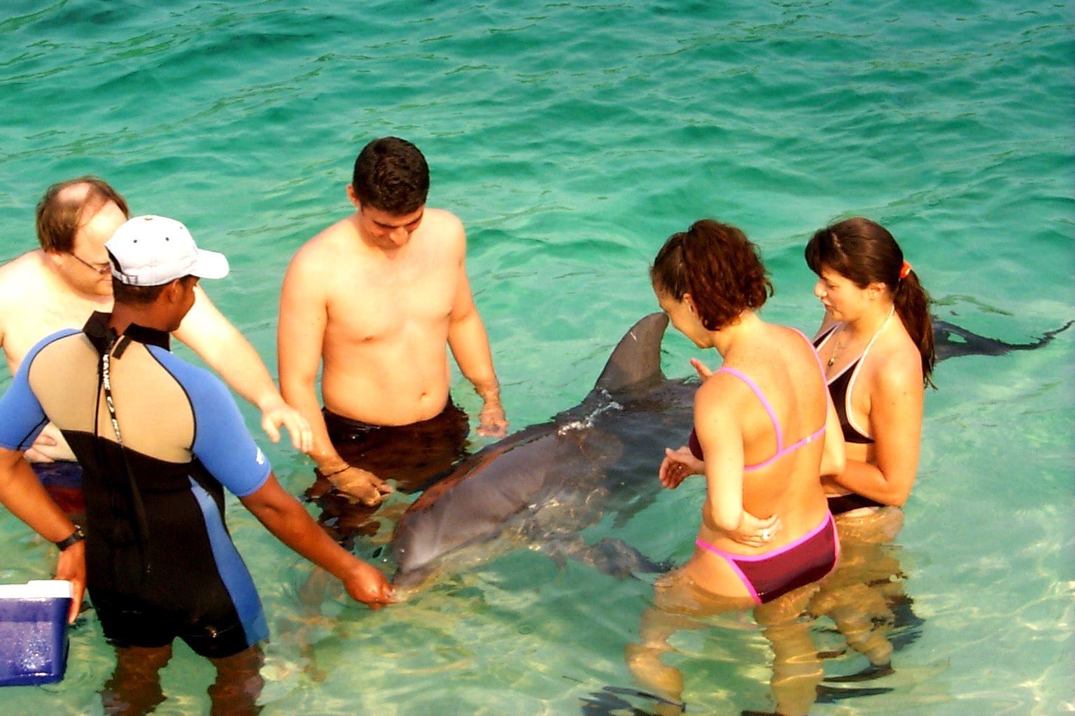 SteveGregAbbyJeanetteDolphin1.jpg (961436 bytes)