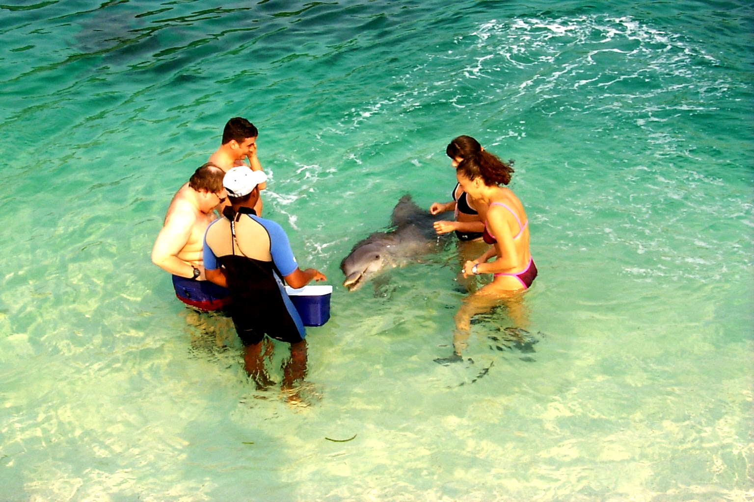 SteveGregAbbyJeanetteDolphin3.jpg (1105600 bytes)